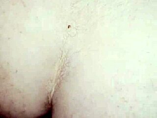 bbw begs for anal from chubby guy