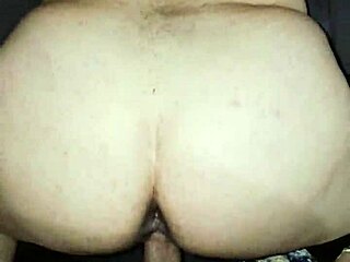 bbw begs for anal from chubby guy