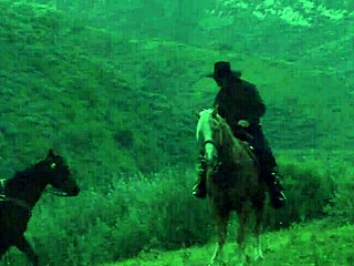 Brooke Ballentyne Fucks Ranch Hand Outdoors