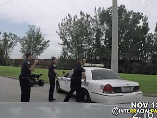 बेसमेंट