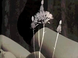 Bold Vintage Erotic Drawings Depicting Intense Antique Passion Scenes