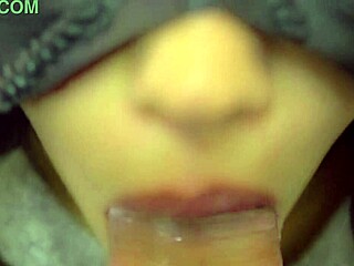 Close up view of amateur blowjob action