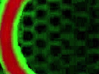 I Got Kinky With Rome Major Mounting Me