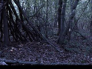 Valentina Nappi Gets Lost in the Woods Adventure