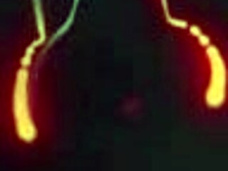 Sheseducedme lesbian massage critic