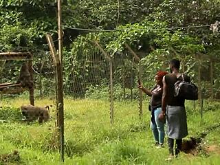 caroline sweets gets her ass stretched by big black cock