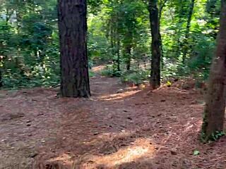 Brazilian Amateur Strips Naked in Woods Showing Off Huge Ass and Perky Tits