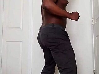 Heartbreak llamasr dance continues