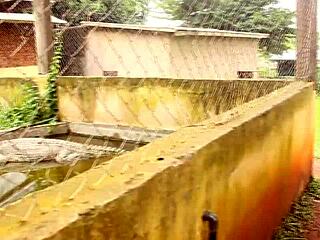 caroline sweets gets her ass stretched by big black cock