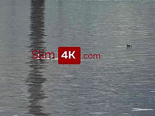 Skinny babe rides driver while servant penetrates her anal