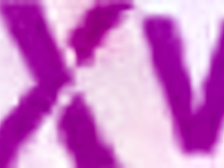 Belle Jolie and Marina Gold Join Group Event with 26 Participants and Fun Activities