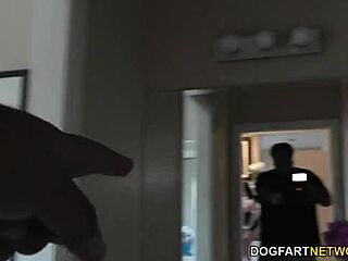 Sarah Vandella, Anissa Kate, And Melissa May