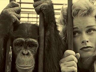 Vintage Taboo Scene With Hairy Pussy And Doggystyle Action