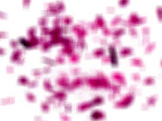 Girlsrimming Hosts Halloween Party Rimjob With Gina Gerson