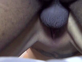 Nicky Ferrari explores intriguing interracial threesome with blonde and curvy babes