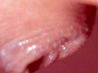 Intense Japanese Wife Fucking With Blowjob And Cum In Mouth Close Up Action!