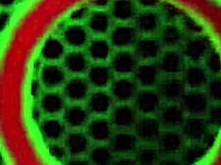 I love how Reagan Lush with her huge boobs gives Philly Jhon an amazing footjob