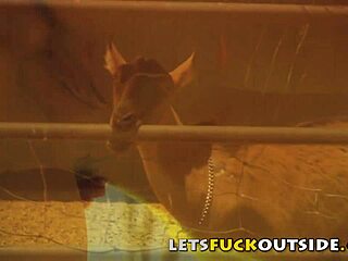 i wanna fuck outside, like this country couple banging in public with that monster cock