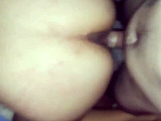 hot amateur pal couldn't resist banging my ass