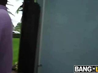 Huge Asses and Tits Feature Nyny Lew and Connie Perignon