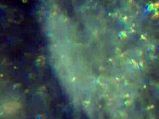 Here's More Of My Cum, Will It Be Enough To Get You Pregnant?