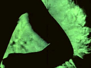 Step into the shadowy world of Dark Lantern Entertainment's Vintage Sin City.