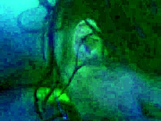 hey cutie, why don't you swallow my cock like a good 18+ chick?