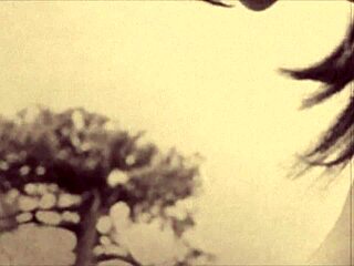 Step into the shadowy world of Dark Lantern Entertainment's Vintage Sin City.