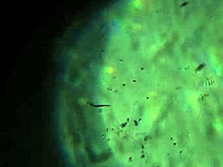 Here's More Of My Cum, Will It Be Enough To Get You Pregnant?