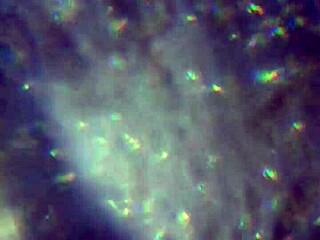 Here's More Of My Cum, Will It Be Enough To Get You Pregnant?