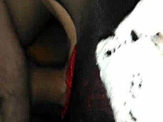 Ex girlfriend in stockings takes huge amateur cock