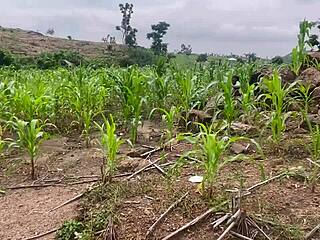 we headed to the farm for some homemade bbw fucking