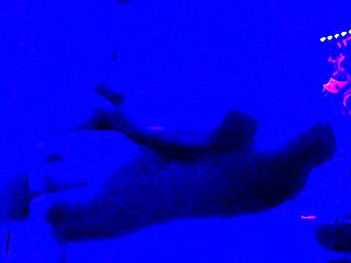 oh wow, this huge dildo feels amazing in my chubby curves... wait, is that a big black cock too?