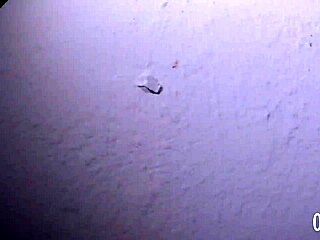 katharine madrid's behind-the-scenes antics with sandro lima intrigue in brazilian tattoo blonde action