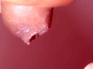 Sensual Japanese Wife Masters Quick Blowjob Skills for Eager Group with Facial Cumshot Close Up