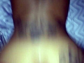 Ebony Black Verification Video