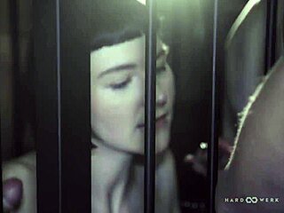 Hardwerk Session With Bound Brunette Delfine In Cage Orgy