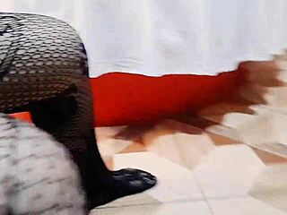 Morena shows off her big ass and tits in intriguing reality fetish