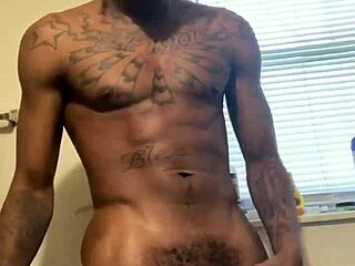 Massive Cock of Pornstar Vonni Awakening in Intense Display