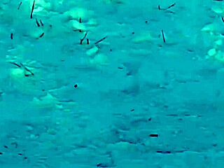 Risky outdoor solo jerk off session in public park reaching intense orgasm