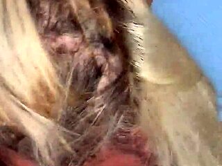 Mature Blonde Slut Deepthroats Massive Black Cock Like A Whore!