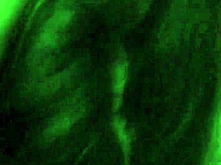 B girl gives intriguing blowjob with sucking and deepthroat