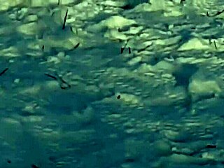 Risky outdoor solo jerk off session in public park reaching intense orgasm