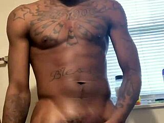 Massive Cock of Pornstar Vonni Awakening in Intense Display