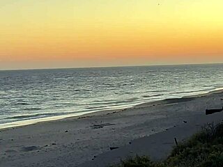 Hey, who's up for that wild Point Break XXX beach party with thongs and monster cocks?