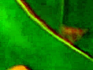 Blonde Goddess Enjoys Hairy Pussy Fun in Vintage Retro Session