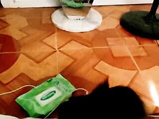 blonde housewife enjoys wet homemade sex with chubby asian in bedroom deepthroat licking and creampie pounding