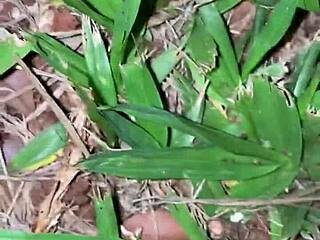 hey sexy latina, wanna show your ass in public without panties?