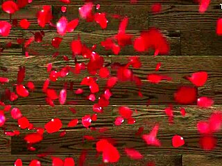 Chico de xvideos pulls off my thong to shove his cock in my eager latina vagina at hotel