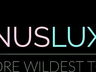 Asian Trans Woman In Lingerie Solo Session